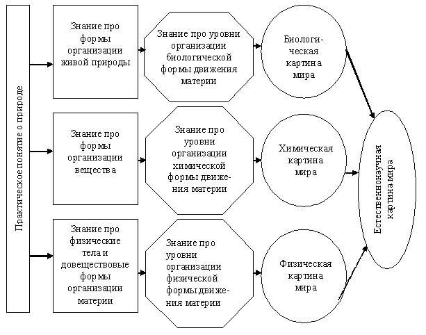 Естественнонаучная картина мира карточки